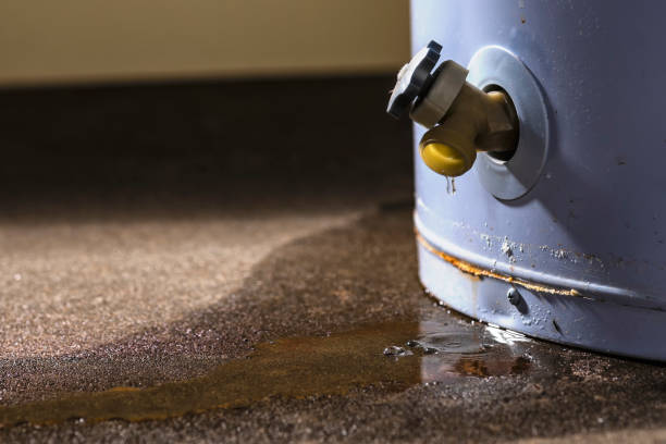 Best Flood restoration services  in Meadowbrook, VA