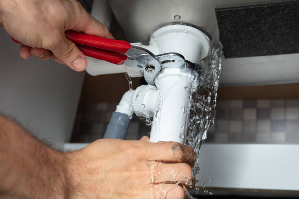 Best Water damage cleanup near me  in Meadowbrook, VA