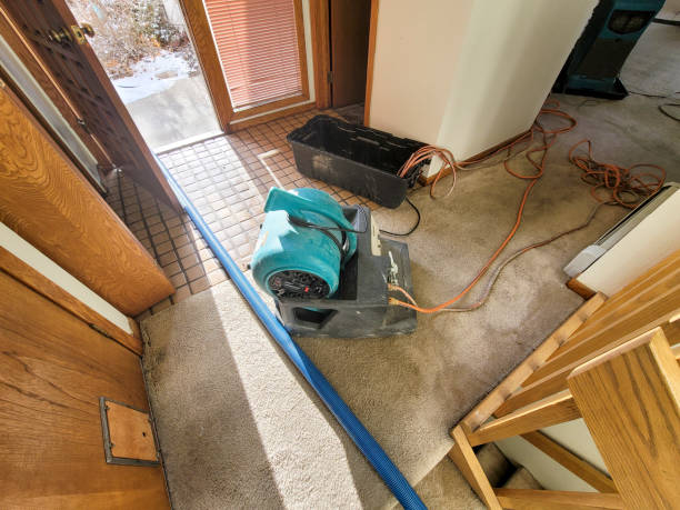 Meadowbrook, VA Water damage restoration Company
