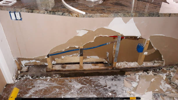 Best Water damage restoration company  in Meadowbrook, VA