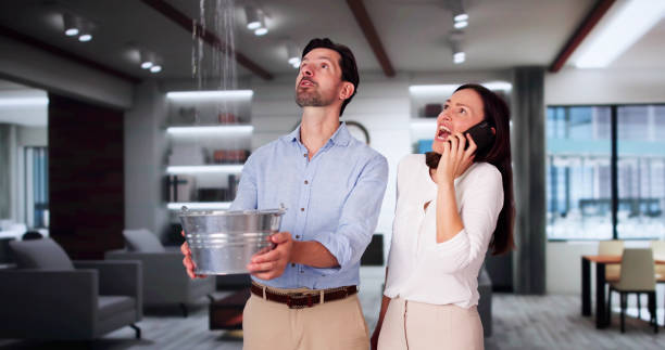 Best Ceiling water damage repair  in Meadowbrook, VA